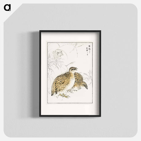 アートポスター-Japanese Quail and Gentian
 - 鳥類図鑑 Poster.