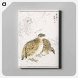 アートパネル-Japanese Quail and Gentian
 - 鳥類図鑑 Canvas.