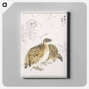 アートパネル-Japanese Quail and Gentian
 - 鳥類図鑑 Canvas.