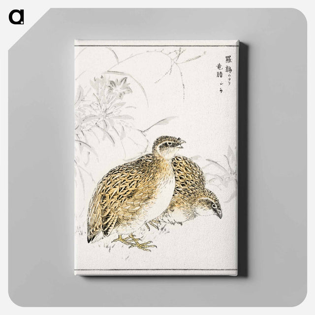 アートパネル-Japanese Quail and Gentian
 - 鳥類図鑑 Canvas.
