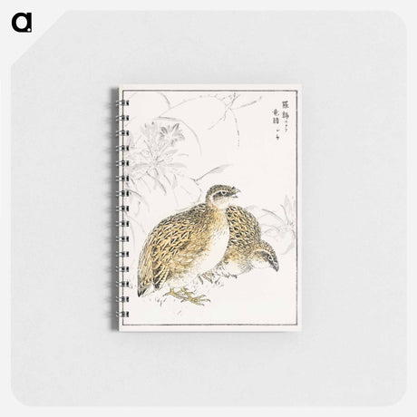 アートメモ帳-Japanese Quail and Gentian
 - 鳥類図鑑 Memo.