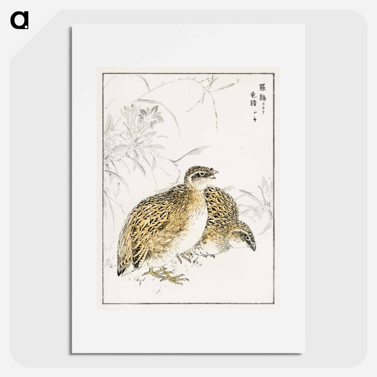 アートポスター-Japanese Quail and Gentian
 - 鳥類図鑑 Poster.