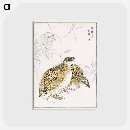 Japanese Quail and Gentian
 - 鳥類図鑑 Postcard.