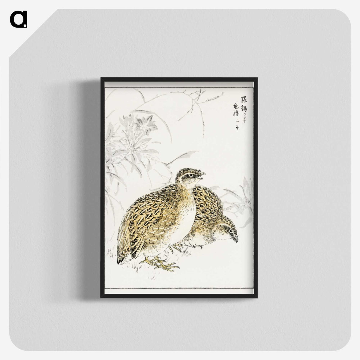 2-2_Pictorial-Monograph-of-Birds_blk-crop