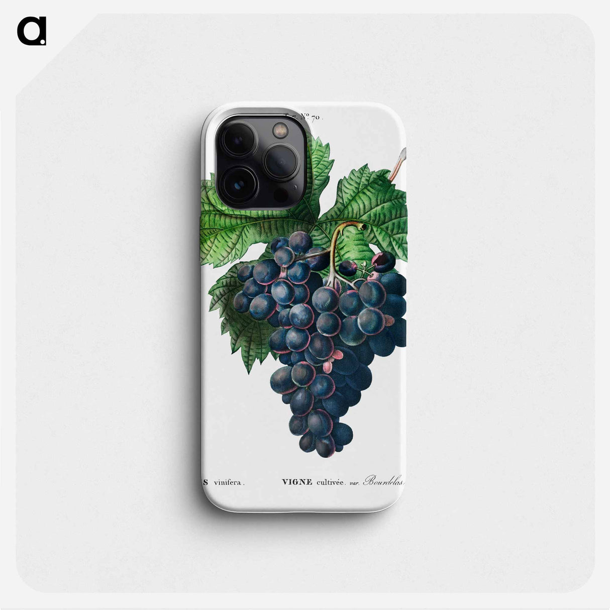 Vitis vinifera (Bourdekas noir) - Pierre Joseph Redouté Phone Case.