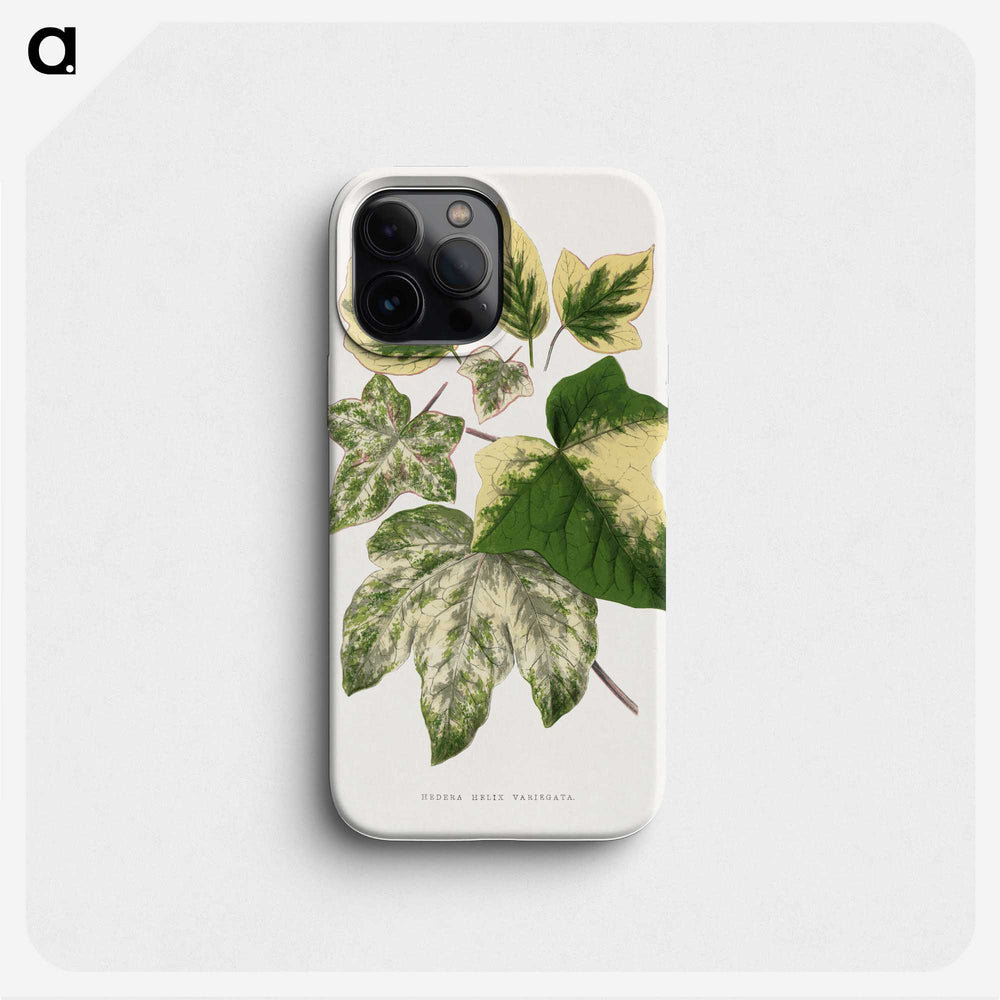 2-2_Plants-with-Colored-Foliage_phone