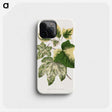 2-2_Plants-with-Colored-Foliage_phone
