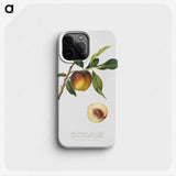 2-2_Pomona-Italiana_phone