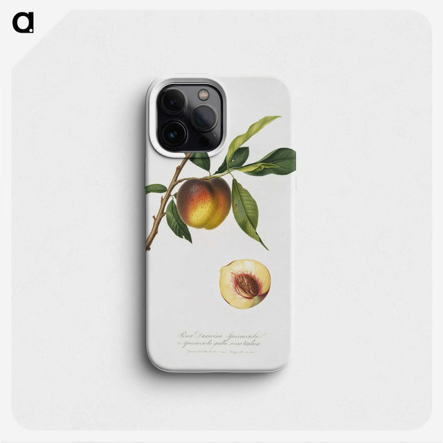 2-2_Pomona-Italiana_phone