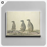 2-2_Robert-Jacob-Gordon_canvas