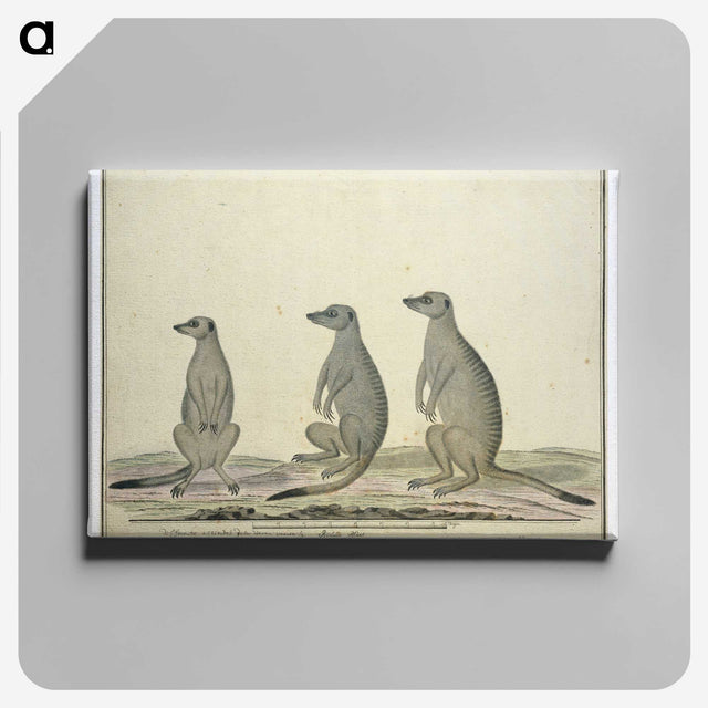 2-2_Robert-Jacob-Gordon_canvas