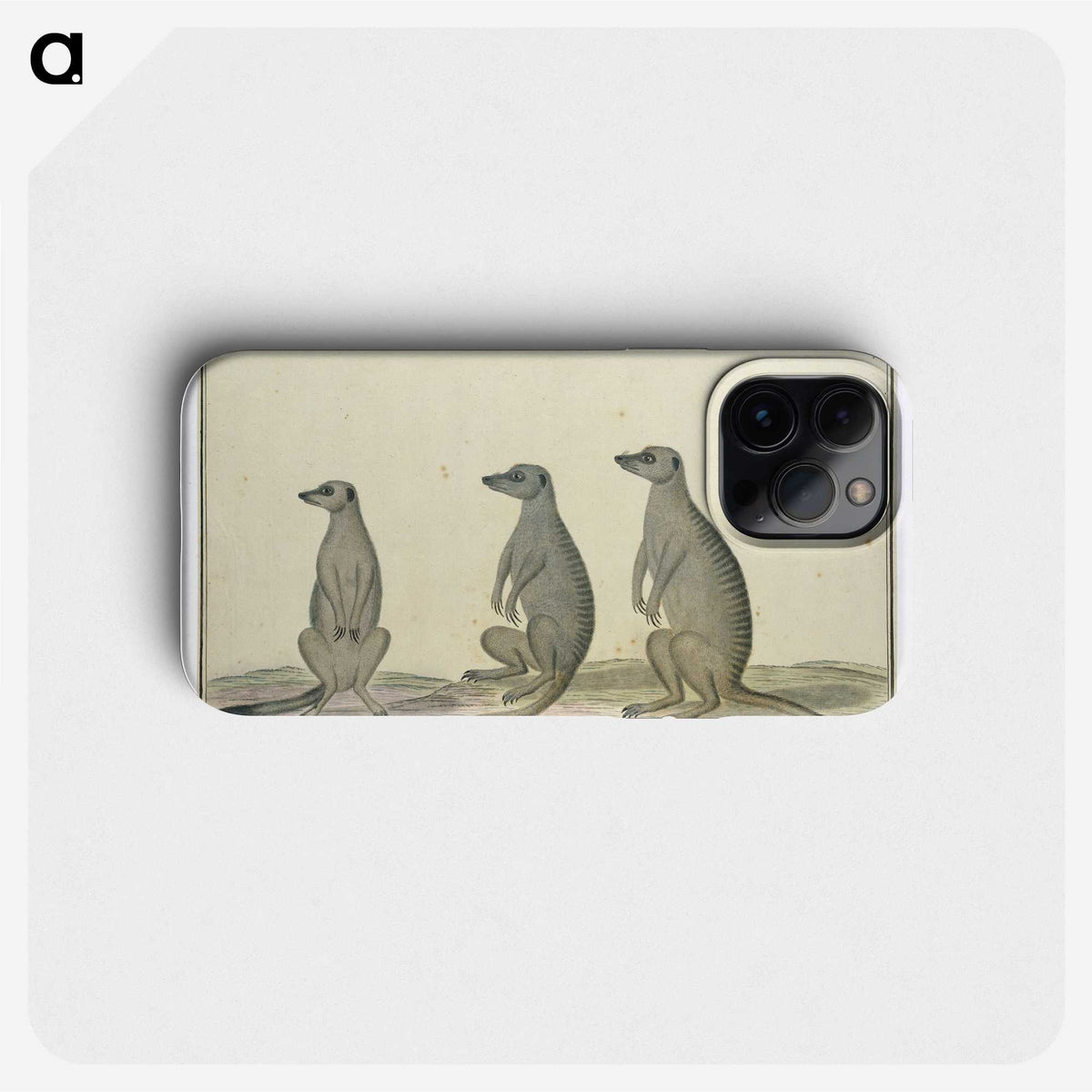2-2_Robert-Jacob-Gordon_phone