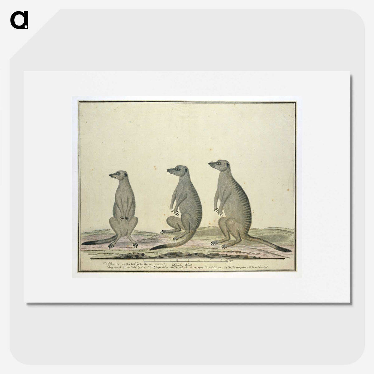2-2_Robert-Jacob-Gordon_picture