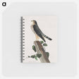 アートメモ帳-Le Petit Caporal from Birds of America
 - アメリカの鳥たち Memo.