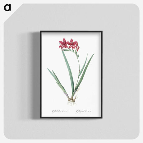 2-2_The-Lilies_blk-crop