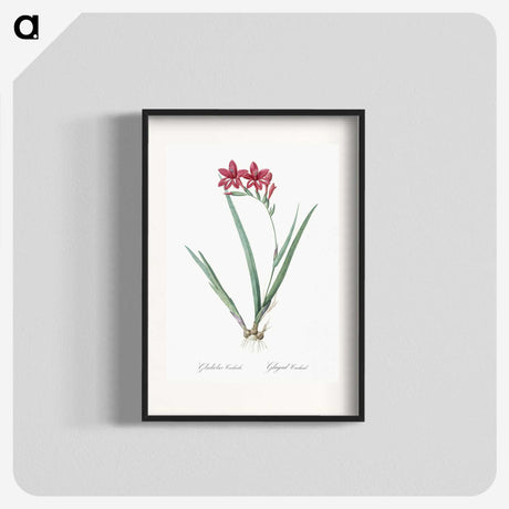 2-2_The-Lilies_blk