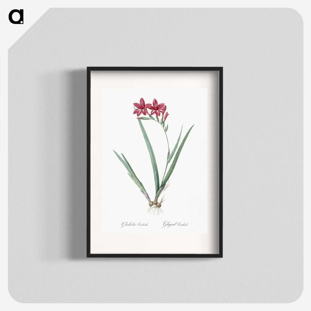 2-2_The-Lilies_blk