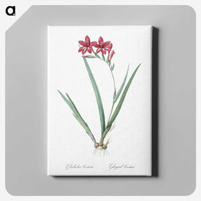2-2_The-Lilies_canvas
