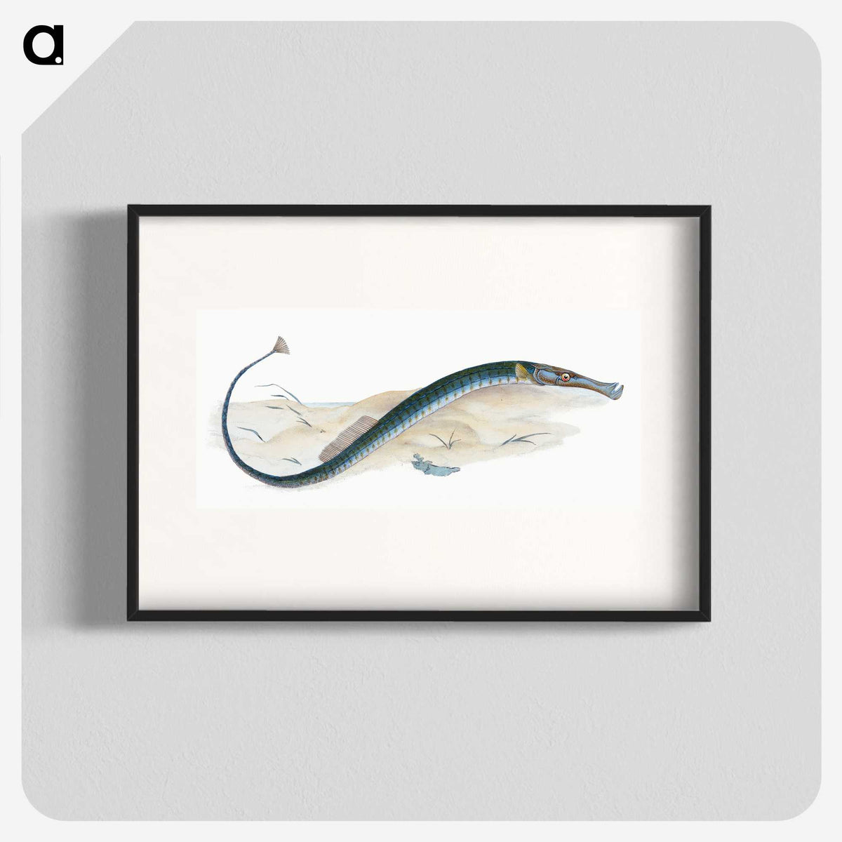 2-2_The-Natural-History-of-British-Fishes_blk