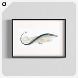 2-2_The-Natural-History-of-British-Fishes_blk