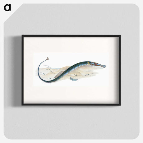 2-2_The-Natural-History-of-British-Fishes_blk