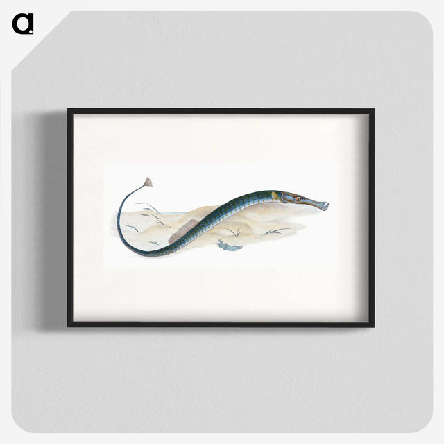 2-2_The-Natural-History-of-British-Fishes_blk