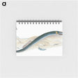 2-2_The-Natural-History-of-British-Fishes_memo