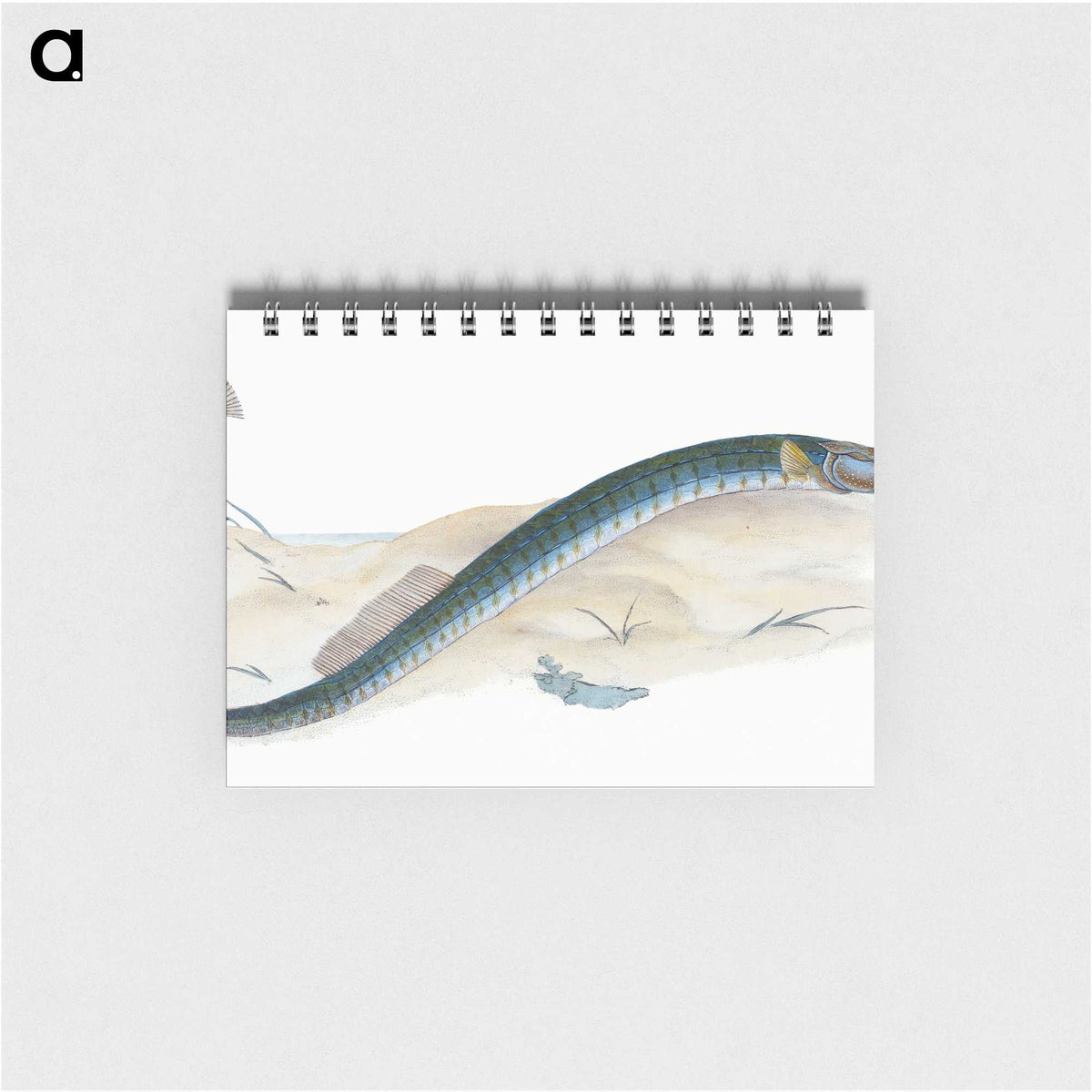 2-2_The-Natural-History-of-British-Fishes_memo