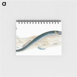 2-2_The-Natural-History-of-British-Fishes_memo