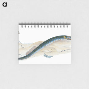 2-2_The-Natural-History-of-British-Fishes_memo