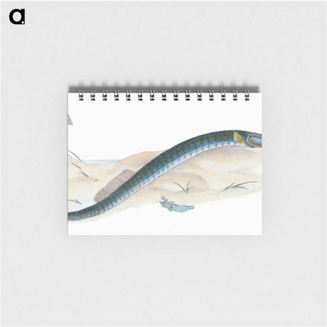 2-2_The-Natural-History-of-British-Fishes_memo