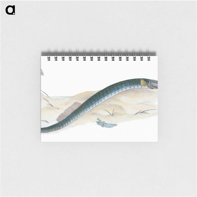 2-2_The-Natural-History-of-British-Fishes_memo