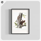 2-2_The-Viviparous-Quadrupeds_blk