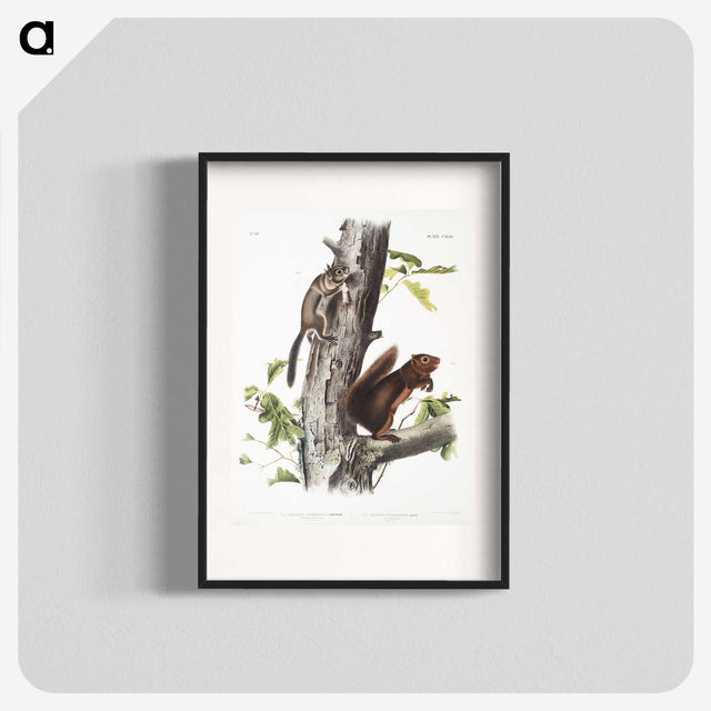 2-2_The-Viviparous-Quadrupeds_blk