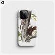 2-2_The-Viviparous-Quadrupeds_phone