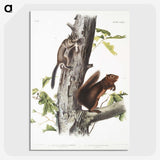 2-2_The-Viviparous-Quadrupeds_picture-crop