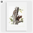 2-2_The-Viviparous-Quadrupeds_picture