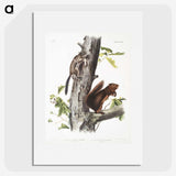 2-2_The-Viviparous-Quadrupeds_picture