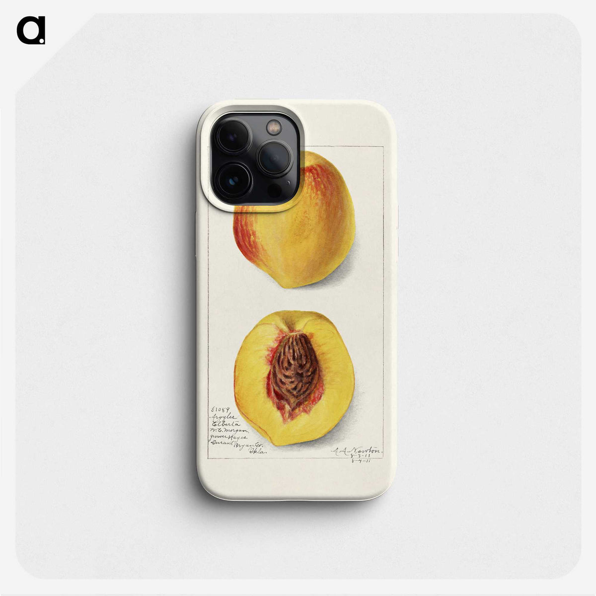 2-2_USDA-Watercolor-Fruit-Painting-Collection_phone
