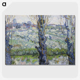 2-2_Vincent-van-Gogh_picture-crop