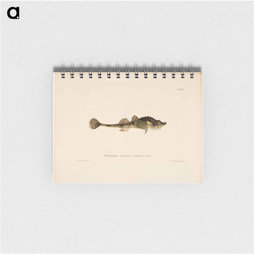 Hooknose - ヴィルヘルム フォン ライト Memo.