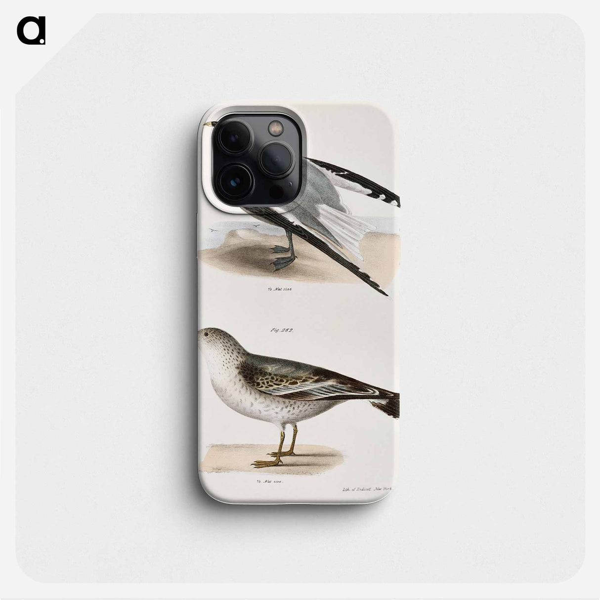 Sabine's Gull (Larus Sabini) 282. American Gull (Larus zonorhyncus) illustration from Zoology of New York by - ニューヨークの動物学 Phone Case.