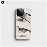 Sabine's Gull (Larus Sabini) 282. American Gull (Larus zonorhyncus) illustration from Zoology of New York by - ニューヨークの動物学 Phone Case.