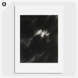 2-30_Alfred-Stieglitz_picture