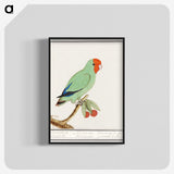 2-30_Anselmus-Boetius-de-Boodt_blk-crop
