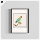 Red-headed lovebird - アンセルムス ボエティウス デ ブート Poster.