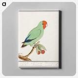2-30_Anselmus-Boetius-de-Boodt_canvas