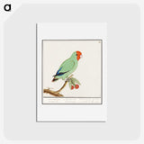 2-30_Anselmus-Boetius-de-Boodt_hagaki