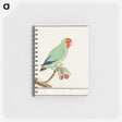 2-30_Anselmus-Boetius-de-Boodt_memo