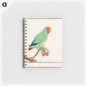 アートメモ帳-Red-headed lovebird - アンセルムス ボエティウス デ ブート Memo.